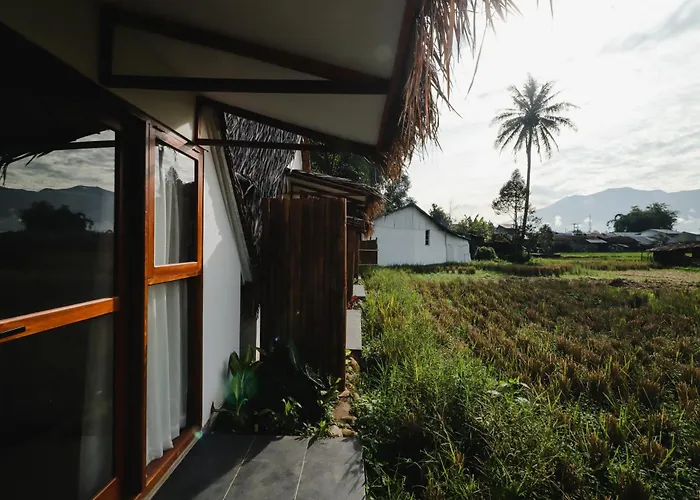 Bamboo Shack