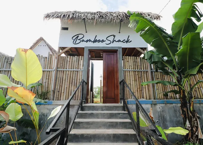 Bamboo Shack